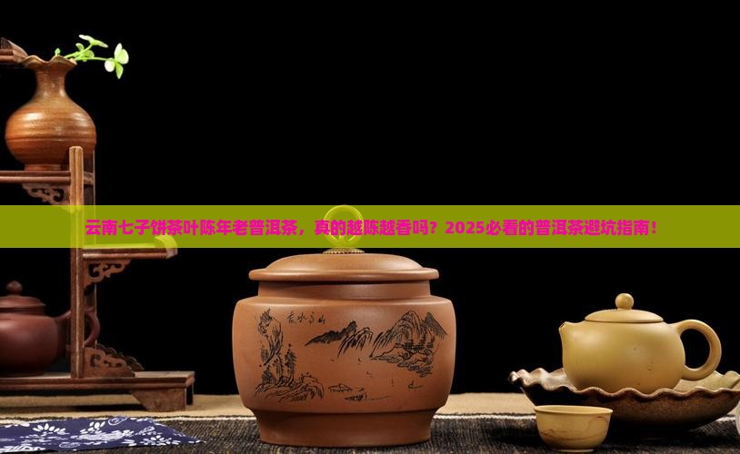 云南七子饼茶叶陈年老普洱茶