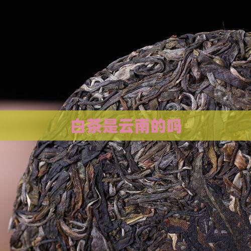 白茶是云南的吗