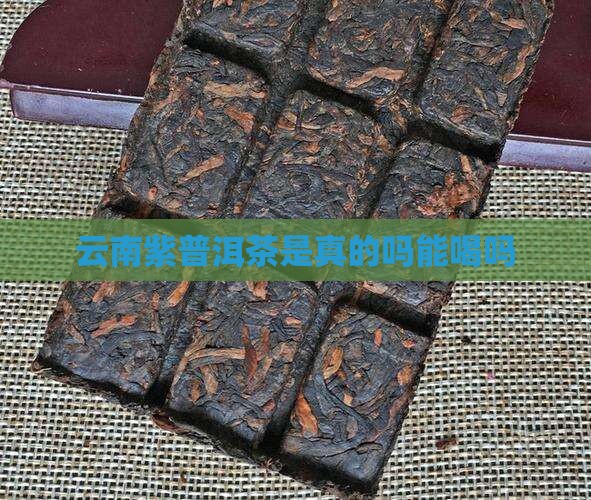 云南紫普洱茶是真的吗能喝吗