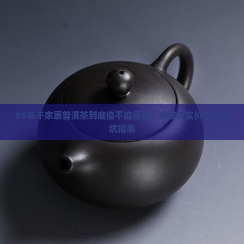 09年千家寨普洱茶
