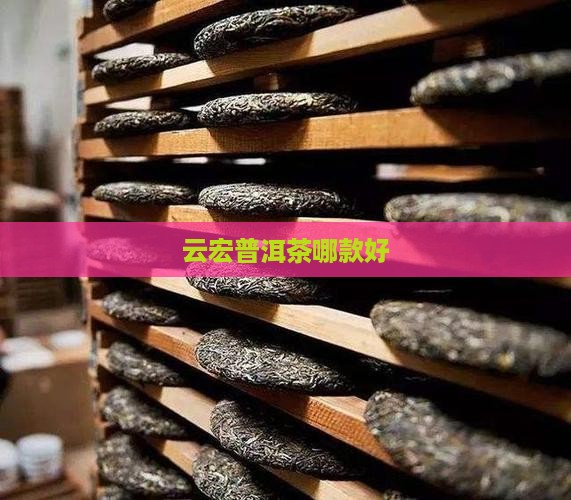 云宏普洱茶哪款好