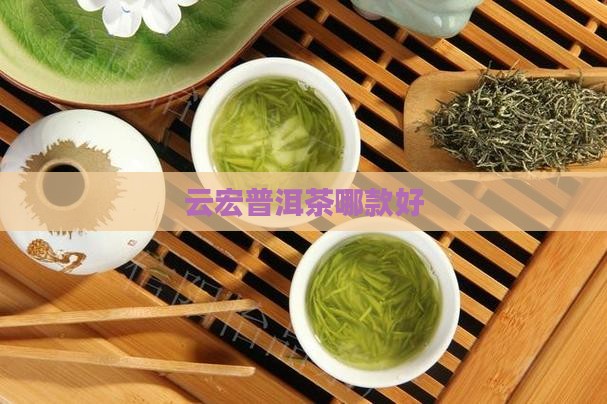 云宏普洱茶哪款好