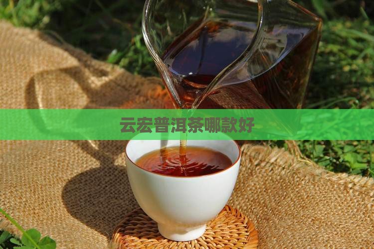 云宏普洱茶哪款好