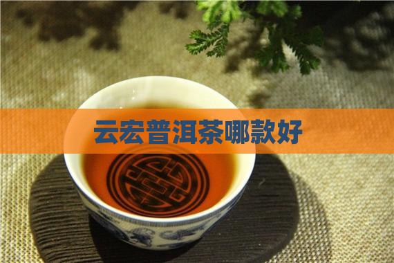 云宏普洱茶哪款好
