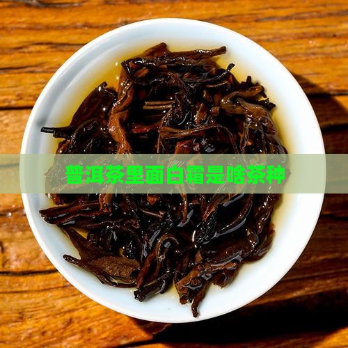 普洱茶里面白霜是啥茶种