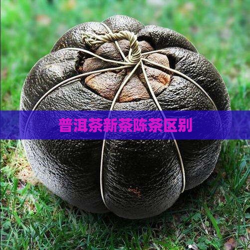 普洱茶新茶陈茶区别