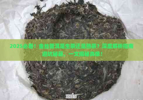 金丝普洱是生茶还是熟茶