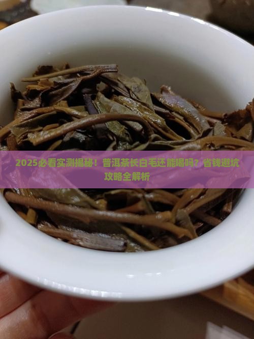 普洱茶白毛还能喝吗