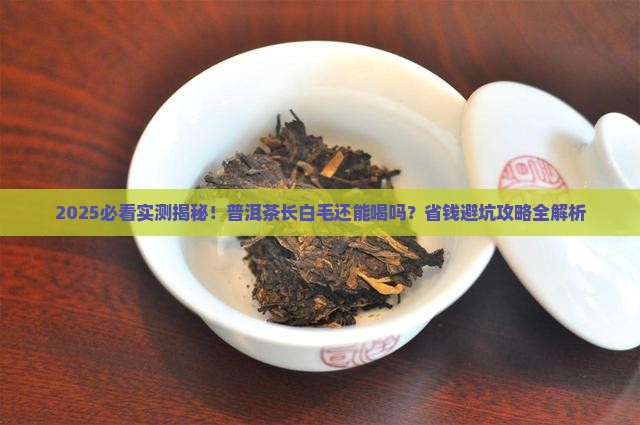 普洱茶白毛还能喝吗
