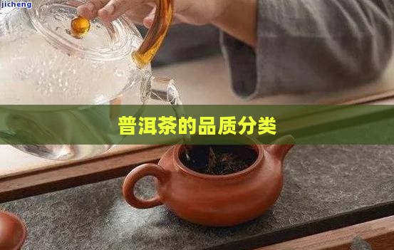普洱茶的品质分类