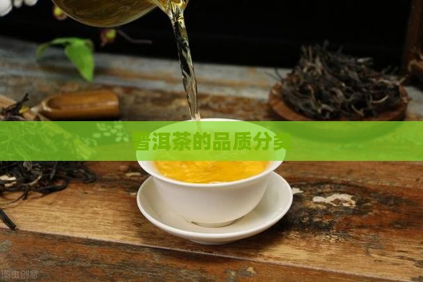 普洱茶的品质分类