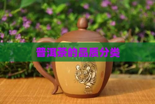 普洱茶的品质分类