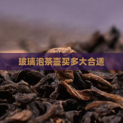 玻璃泡茶壶买多大合适