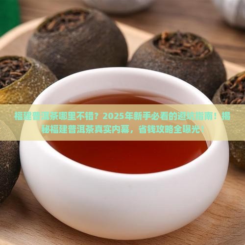 福建普洱茶哪里不错