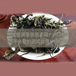 福建普洱茶哪里不错