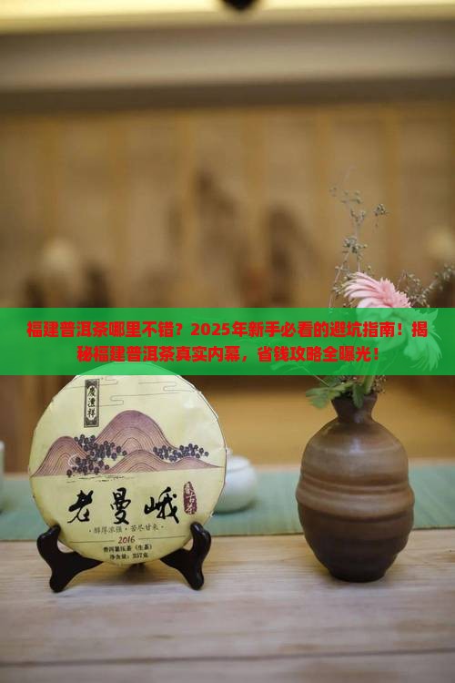 福建普洱茶哪里不错