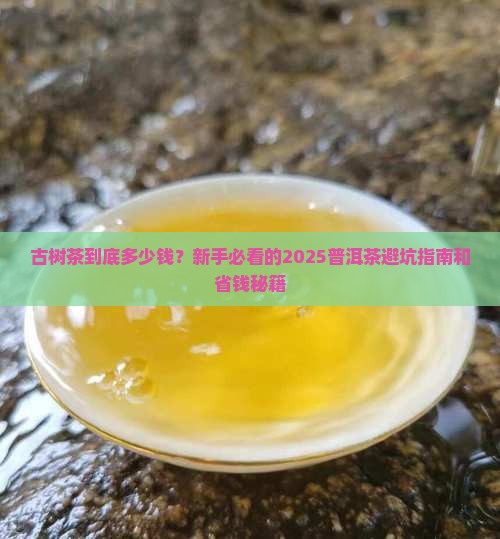 普洱茶古树茶多少钱