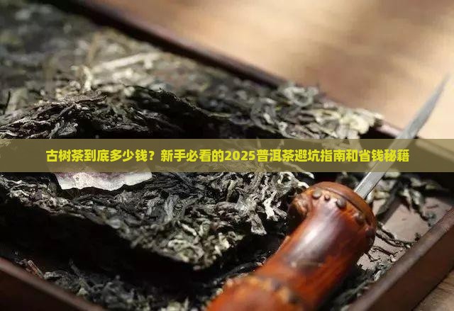 普洱茶古树茶多少钱
