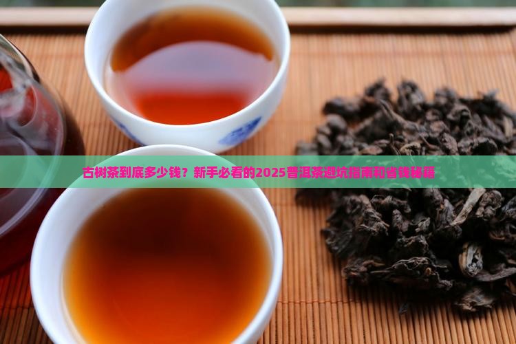 普洱茶古树茶多少钱