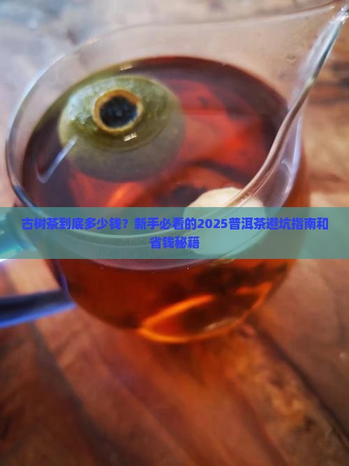 普洱茶古树茶多少钱