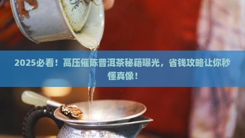 高压对普洱茶催陈