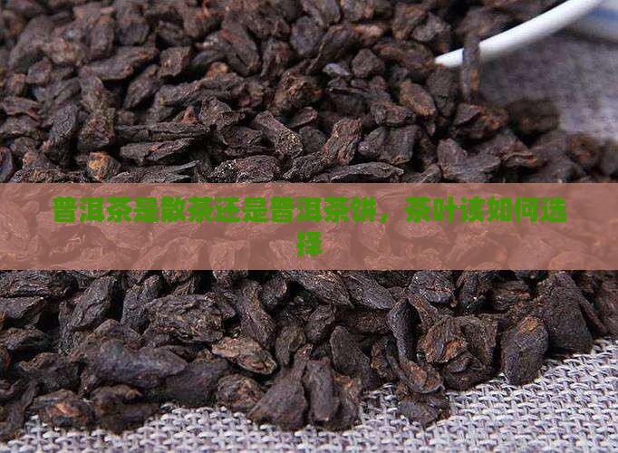 普洱茶是散茶还是压饼