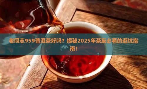 老同志959普洱茶好吗