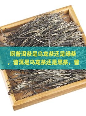 啊普洱茶是乌龙茶