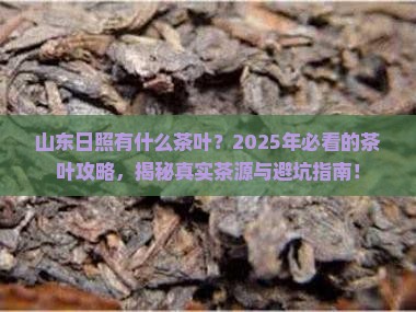 山东日照有什么茶叶