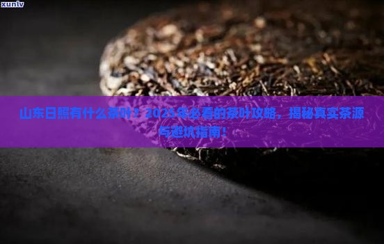山东日照有什么茶叶