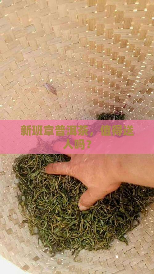 新班章普洱茶值得送人吗