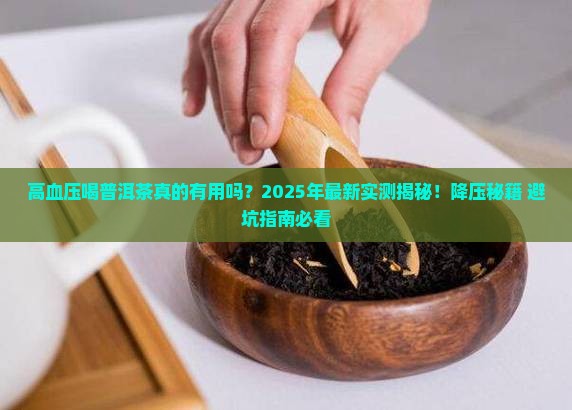 高血压喝普洱茶
