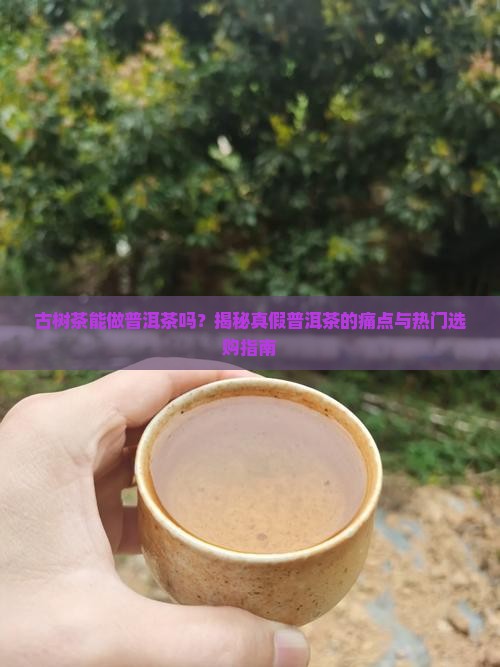 古树茶能做普洱茶吗