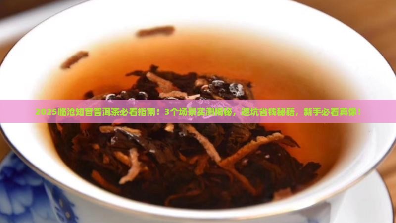 临沧知音普洱茶