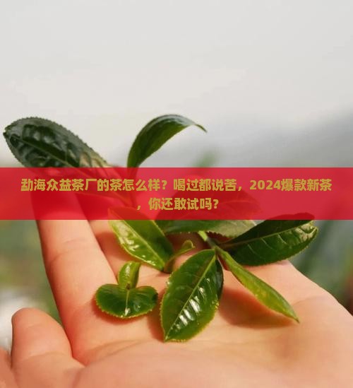 勐海众益茶厂的茶怎么样