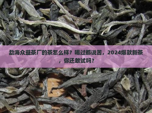 勐海众益茶厂的茶怎么样