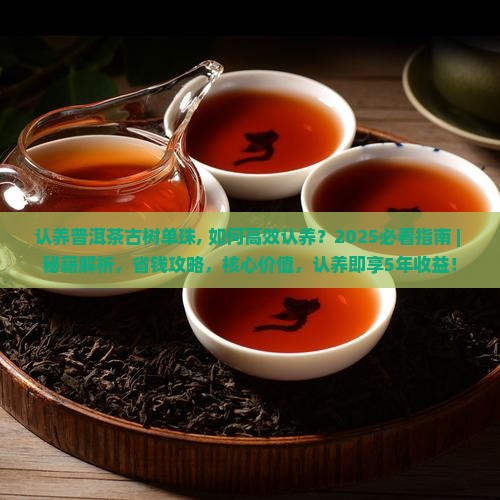 认养普洱茶古树单珠