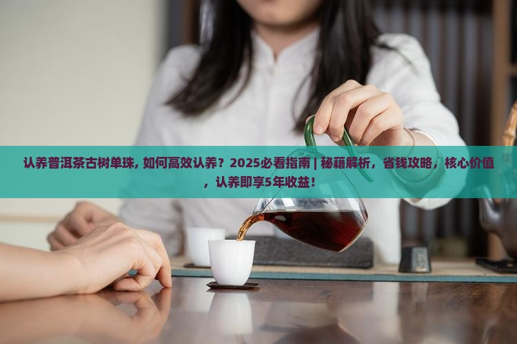 认养普洱茶古树单珠
