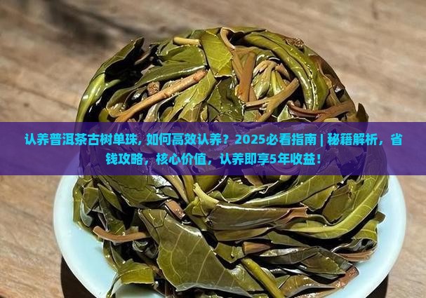 认养普洱茶古树单珠