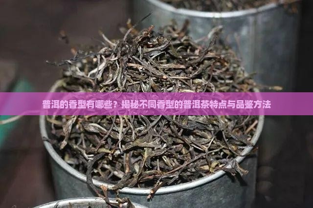 普洱的香型有哪些