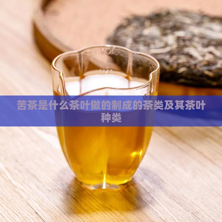 苦茶是什么茶叶