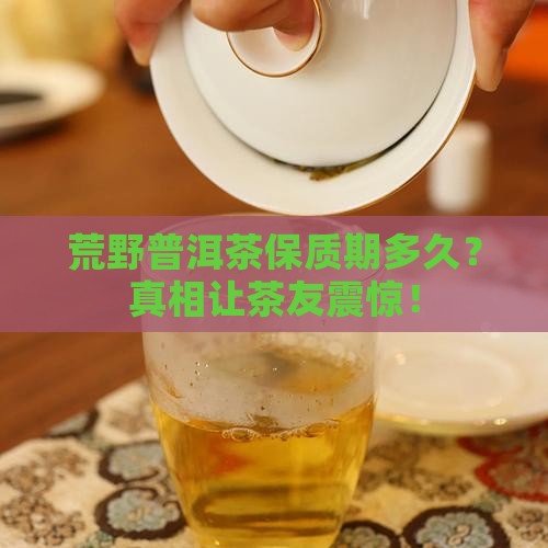 荒野普洱茶保质期
