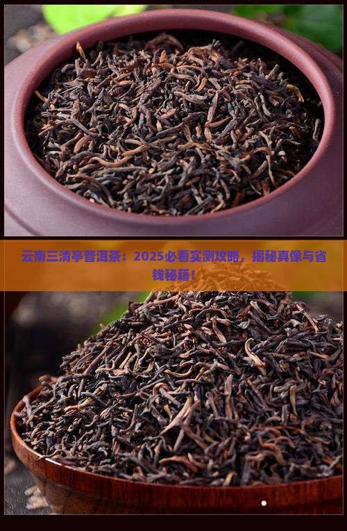 云南三清亭普洱茶