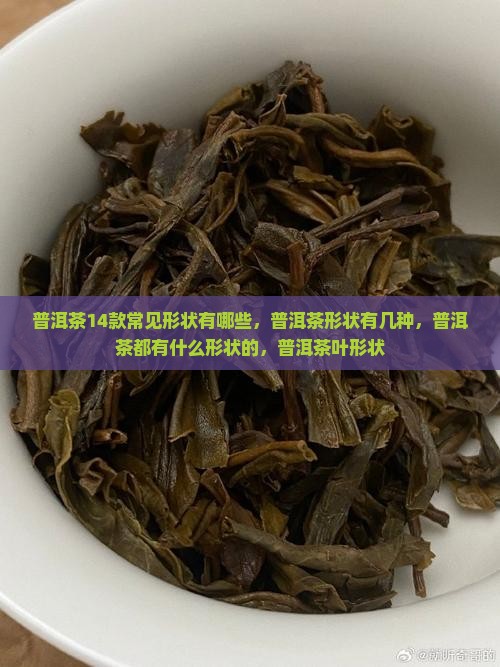 普洱茶14款常见形状有哪些