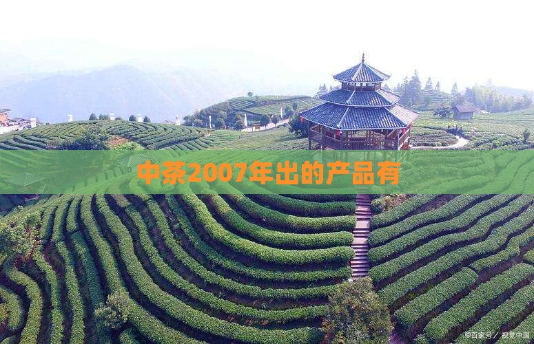 中茶2007年出的产品有