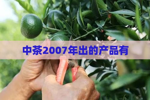 中茶2007年出的产品有