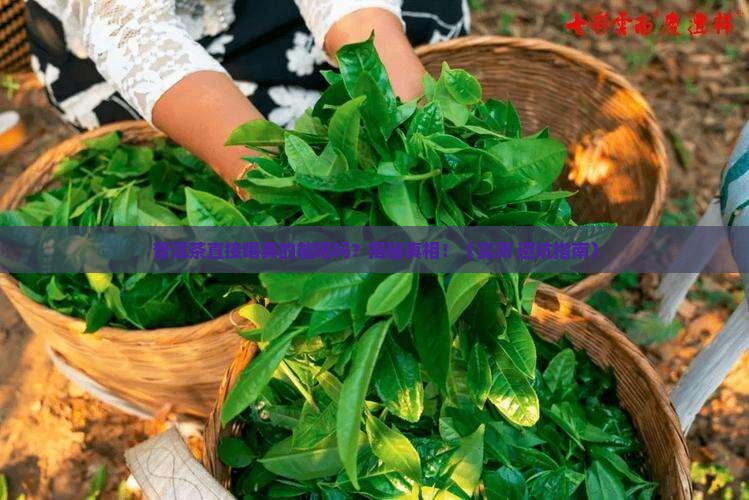 普洱茶直接喝可以吗