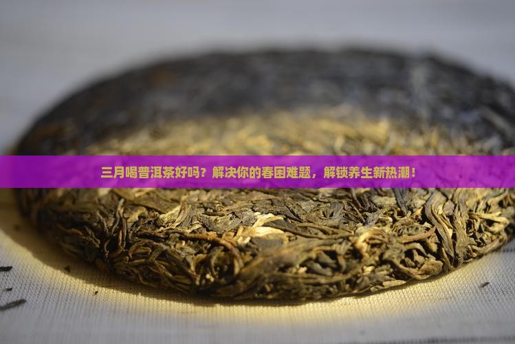 三月喝普洱茶好吗