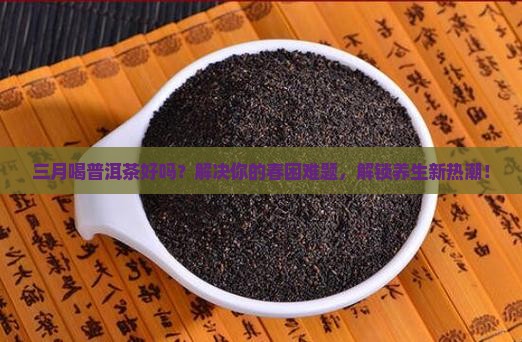 三月喝普洱茶好吗