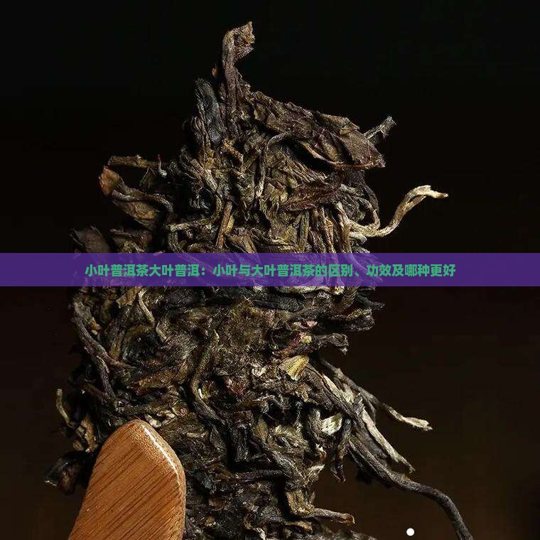 小叶普洱茶大叶普洱